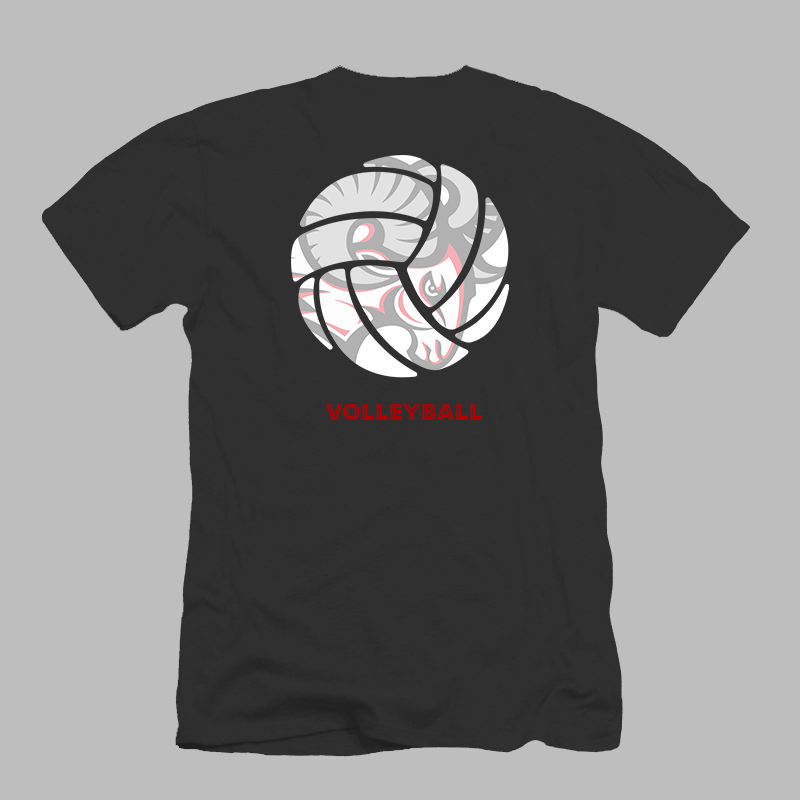 Volleyball 2-sided Tee