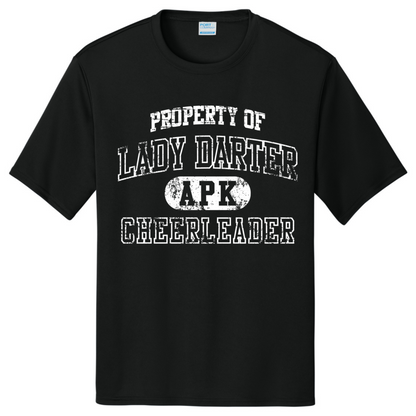 Property of Darter Light